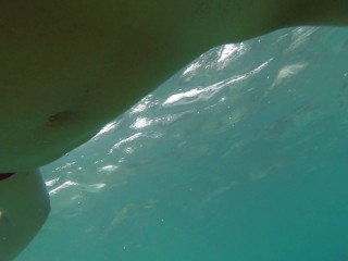 Snorkeling in reef